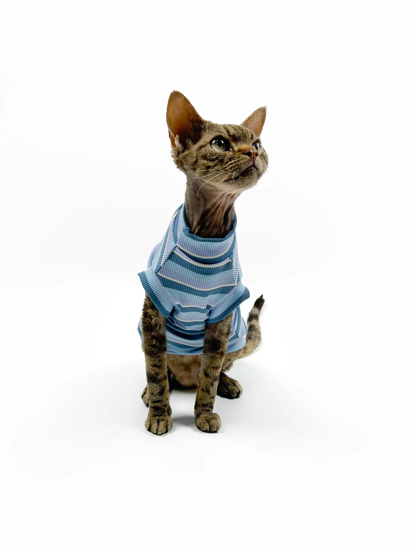 Hairless cat-themed sweater, Sphynx Devon stretch striped air-conditioned clothing, skin-friendly and comfortable vest/T-shirt.