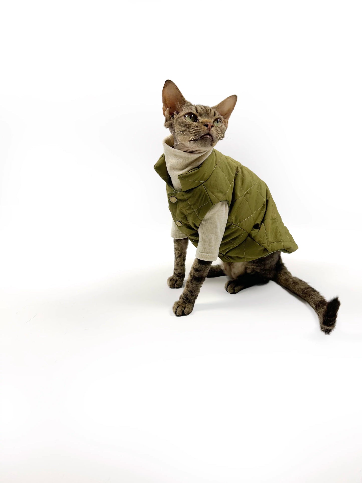 Autumn/Winter Hairless Cat Clothing, Sphinx Devon Winter Thin Fleece-lined Vest, Two-tone Comfortable