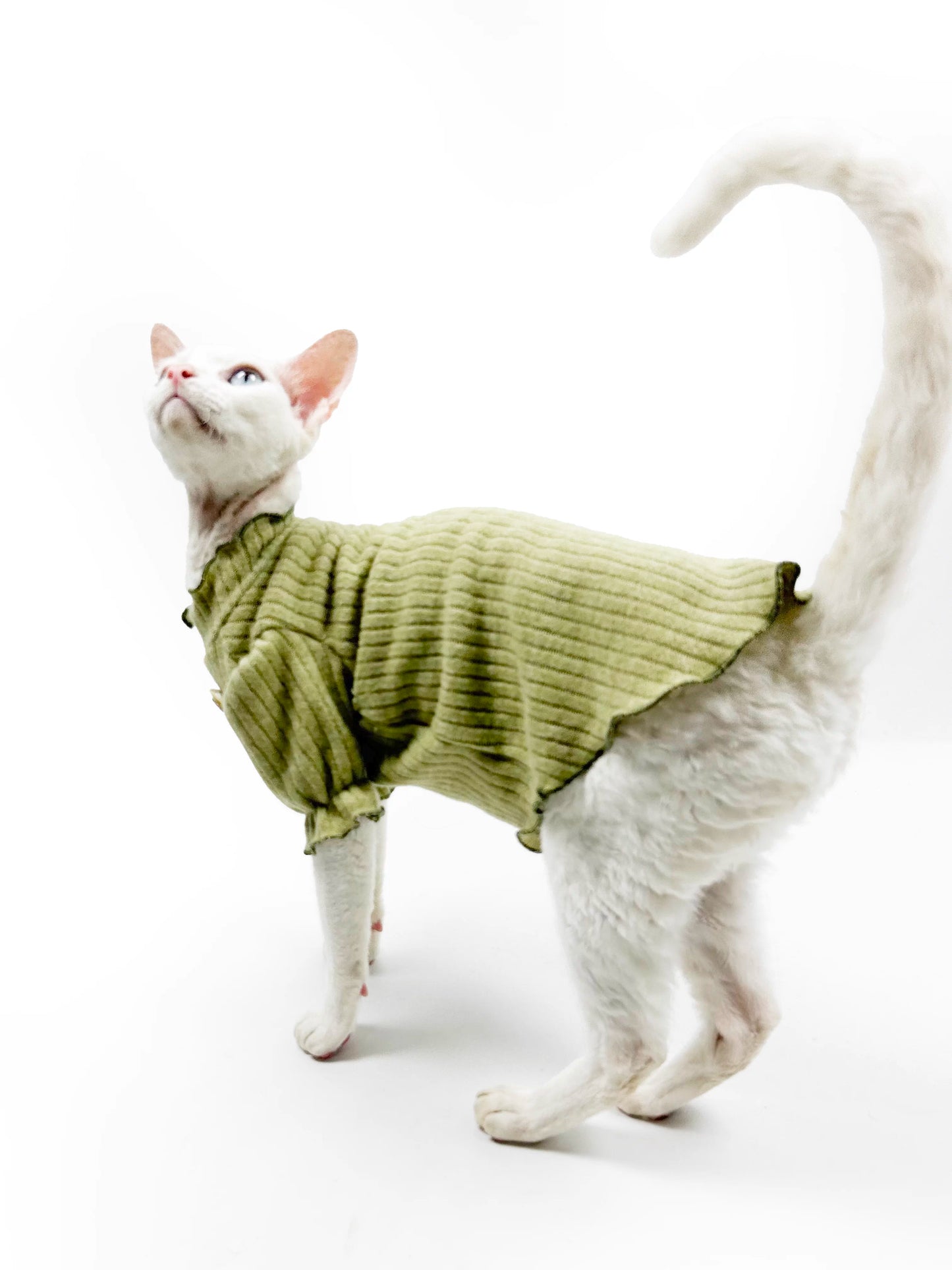 Hairless cat clothes, Sphynx Devon early autumn soft and skin-friendly fleece puff sleeve princess style