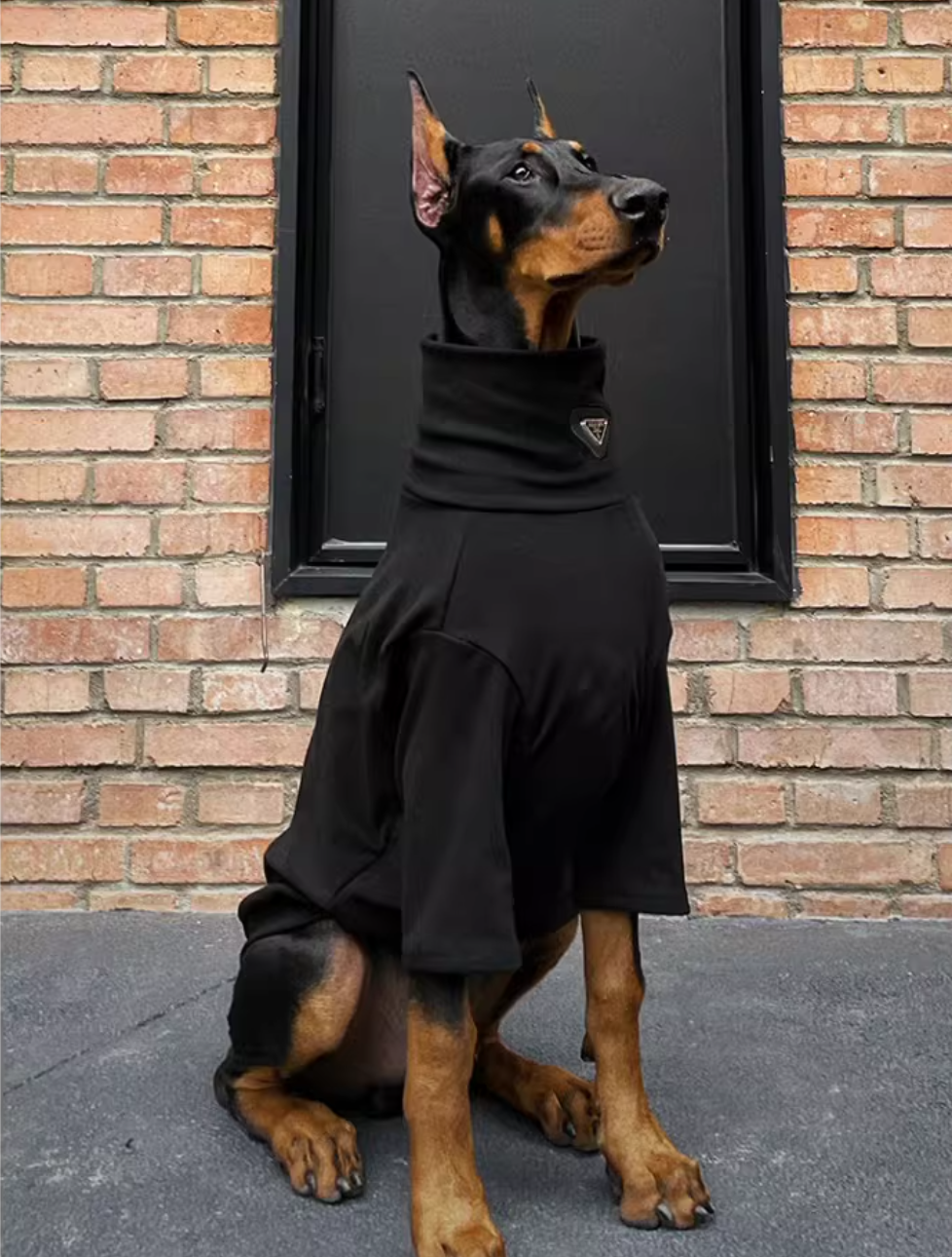 Dog clothes for spring and autumn, large breeds, including Doberman Pinscher, Golden Retriever, Labrador, and Border Collie
