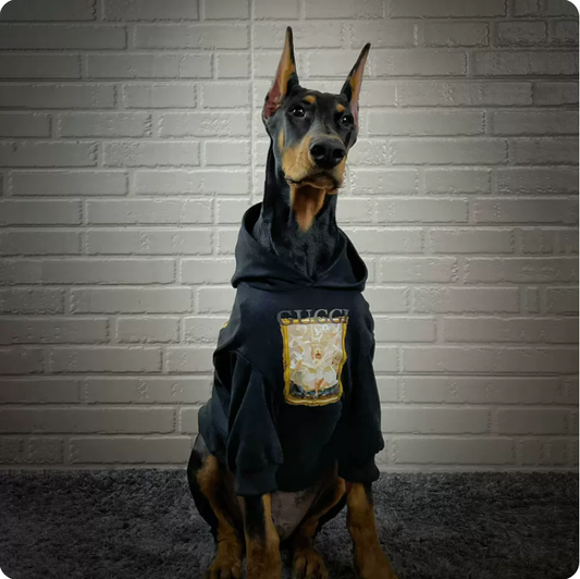 Dog clothes for autumn and winter, large breeds like Golden Retrievers, Labradors, and Dobermans, anti-shedding clothes, trendy dog sweatshirts, warm